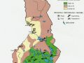 芬兰地图森林分布图